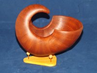 nautiloid2-7.JPG