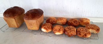 Breads.jpg