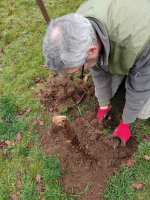 jeff removing turf (Medium).jpg