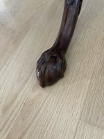 IMG_3238.jpeg