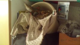IMG_4828.jpeg