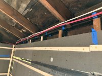 IMG_4541.jpeg