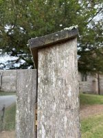 IMG_0066.jpeg