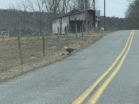 IMG_0284.jpg