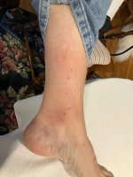 IMG_4583.jpeg