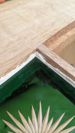 PXL_20260704_090232519.jpg