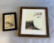 IMG_7875.jpeg