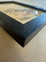 IMG_7879.jpeg