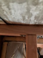 IMG_4601.jpeg