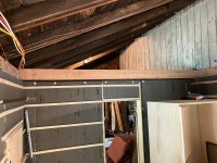 IMG_4602.jpeg