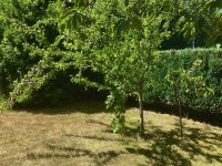 IMG_4918.jpeg