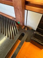 IMG_7993.jpeg