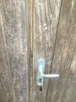 IMG_5061.jpeg