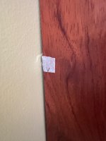 IMG_8305.jpeg