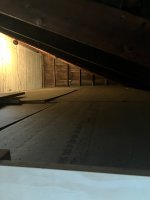 IMG_4766.jpeg