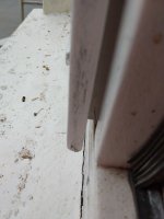 20260929_172109.jpg